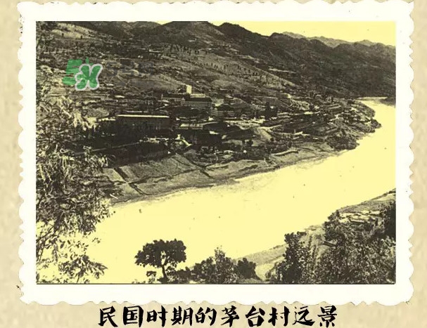 茅臺(tái)酒為什么那么貴？茅臺(tái)酒為什么這么貴