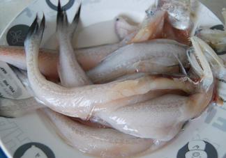 買龍頭魚怎么挑選？冰凍龍頭魚怎么去內(nèi)臟