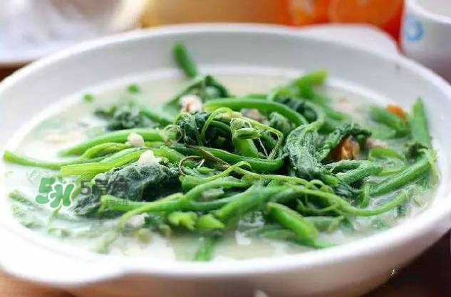 南瓜苗怎么做好吃？南瓜苗怎么撕？