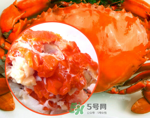 海螃蟹什么時候最肥？海螃蟹什么季節(jié)最好吃？