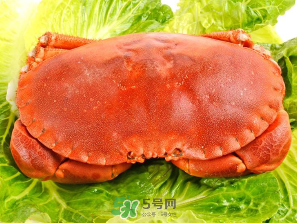 面包蟹和帝王蟹哪個(gè)好吃？面包蟹好吃還是帝王蟹好吃？