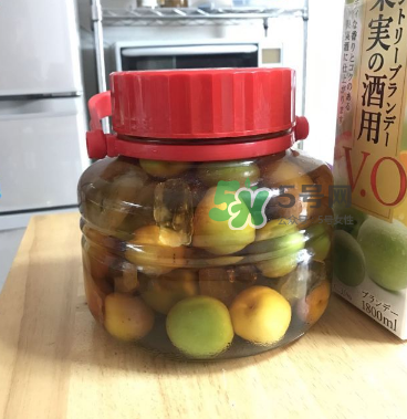 自制青梅酒的做法 青梅酒泡多久可以喝？