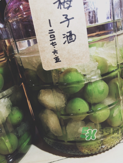 自制青梅酒的做法 青梅酒泡多久可以喝？