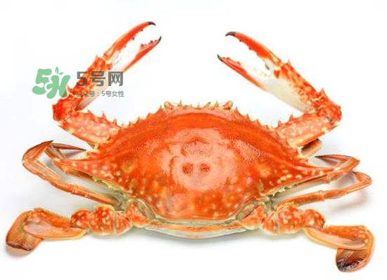?花蟹可以放冰箱嗎？花蟹怎么保存才新鮮？