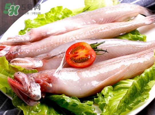 龍頭魚是海魚嗎？龍頭魚是海鮮嗎