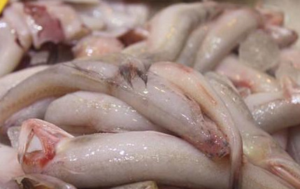 龍頭魚怎么做好吃？龍頭魚干怎么做好吃