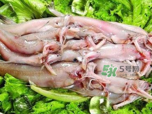 龍頭魚還有別的名嗎？龍頭魚有哪幾種做法