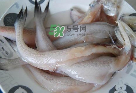 龍頭魚怎么殺？龍頭魚怎么處理？