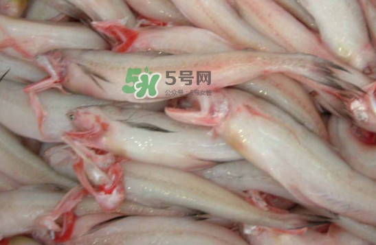 龍頭魚(yú)怎么炸？龍頭魚(yú)怎么做湯