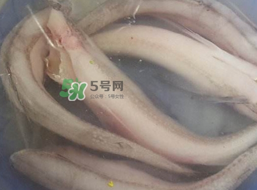 買龍頭魚怎么挑選？冰凍龍頭魚怎么去內(nèi)臟