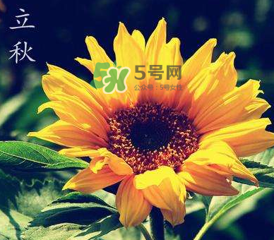 立秋后是不是早晚天氣涼？立秋后天氣有什么變化？
