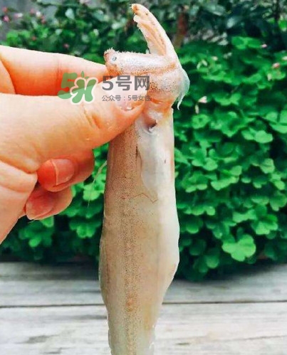 水潺怎么讀？水潺是海鮮嗎
