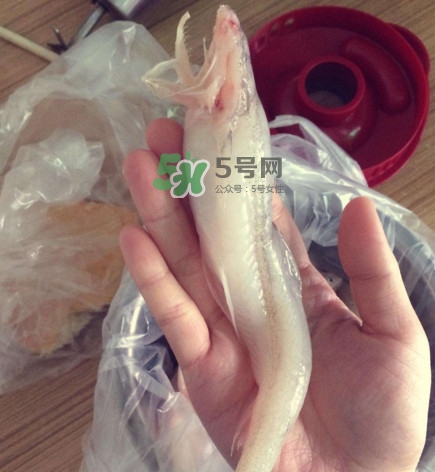 海鮮水潺孕婦可以吃嗎？水潺魚的營養(yǎng)價值