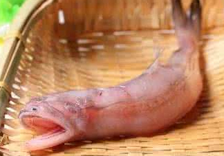 龍頭魚(yú)身是什么神獸？龍頭魚(yú)身是什么寓意