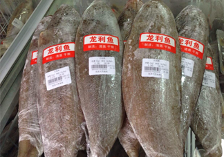 龍利魚(yú)怎么挑選？龍利魚(yú)與越南巴沙魚(yú)的區(qū)別