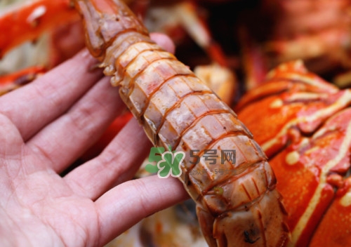 蝦蛄怎么吃？蝦蛄怎么做好吃？