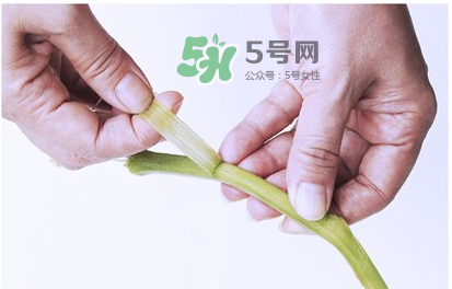 南瓜苗怎么做好吃？南瓜苗怎么撕？