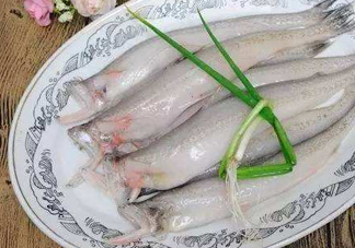 海鮮水潺孕婦可以吃嗎？水潺魚的營養(yǎng)價值