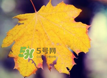 立秋后吃什么好？立秋后怎么養(yǎng)生？