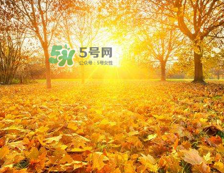 立秋后吃什么好？立秋后怎么養(yǎng)生？
