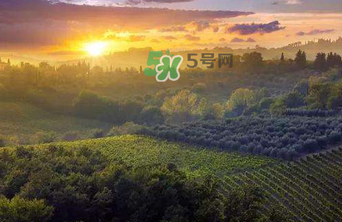 立秋后吃什么好？立秋后怎么養(yǎng)生？