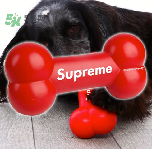 supreme狗骨頭玩具是真的嗎？supreme骨頭玩具會發(fā)售嗎？