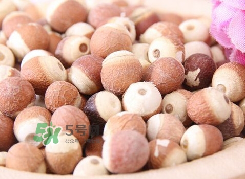 雞頭米是涼性的嗎？雞頭米是哪里的特產