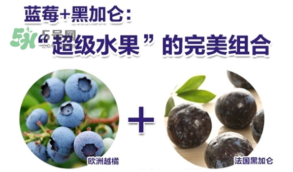 fancl藍(lán)莓護(hù)眼怎么樣？fancl藍(lán)莓護(hù)眼和pola護(hù)眼哪個(gè)好