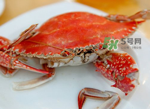 梭子蟹可以清蒸嗎？梭子蟹蒸還是煮？