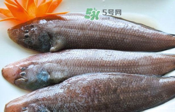 龍利魚怎么做給寶寶吃？龍利魚怎么處理