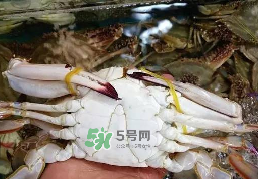 梭子蟹放冷藏還是冷凍？梭子蟹可以放速凍嗎？