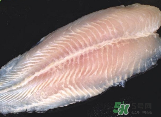龍利魚有刺嗎？龍利魚有魚鱗嗎