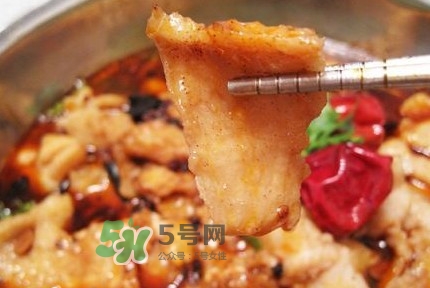 龍利魚有寄生蟲嗎？龍利魚有假的嗎