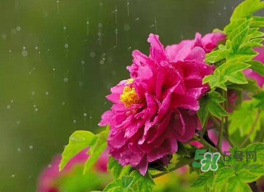 2017處暑會(huì)下雨嗎？處暑會(huì)下雨好嗎？