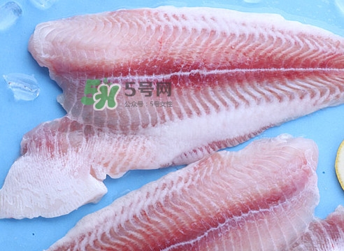 龍利魚是海魚嗎？龍利魚是海鮮嗎