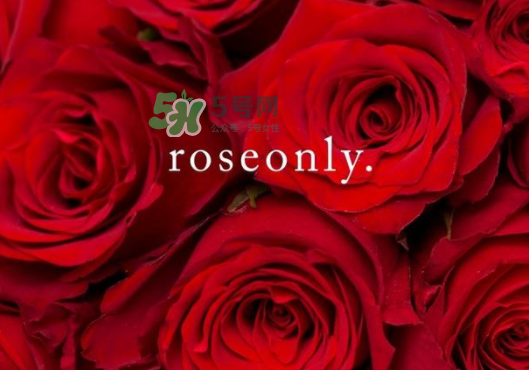 2017七夕禮盒roseonly多少錢？roseonly巨型玫瑰禮盒多少錢？