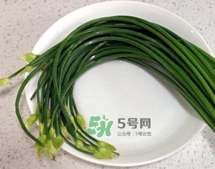 吃韭菜苔回奶嗎？韭菜苔和蒜苗是一回事嗎