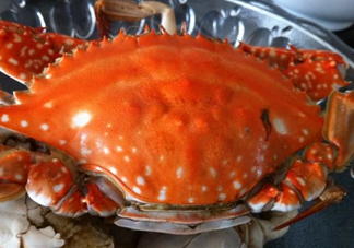 梭子蟹可以清蒸嗎？梭子蟹蒸還是煮？