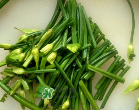 韭菜苔孕婦能吃嗎？孕婦可以吃韭菜苔嗎