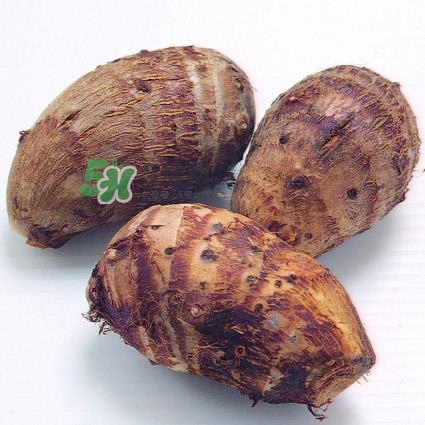 中秋節(jié)為什么吃芋頭？中秋節(jié)吃芋頭的來源