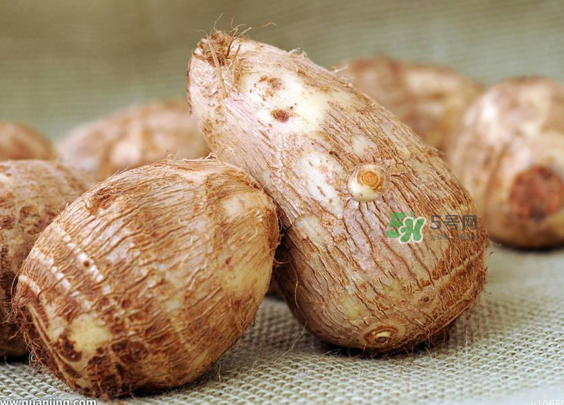 減肥可以吃芋頭嗎？芋頭熱量高嗎？