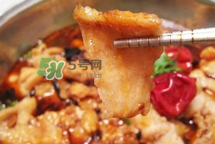 龍利魚有刺嗎？龍利魚有魚鱗嗎