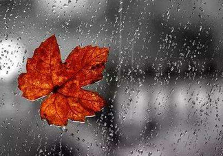 2017處暑會下雨嗎？處暑會下雨好嗎？