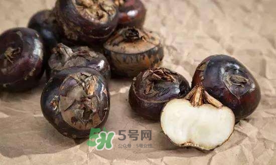 野荸薺是什么樣子的？野荸薺的營養(yǎng)價值