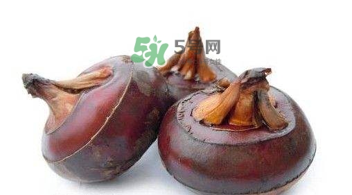野荸薺怎么吃？野荸薺的食用功效