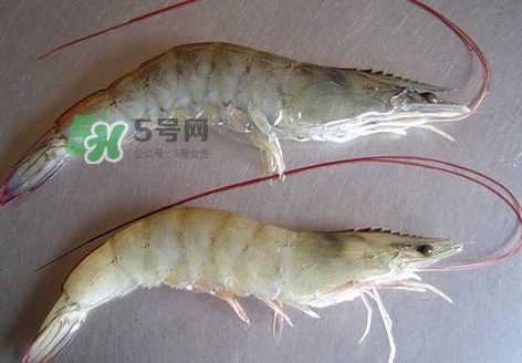 太湖白蝦多少錢一斤？太湖白蝦干多少錢一斤
