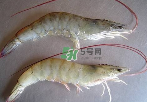 白蝦有寄生蟲嗎？如何選購新鮮的蝦