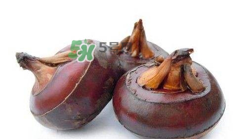 吃荸薺有什么好處？吃荸薺的禁忌