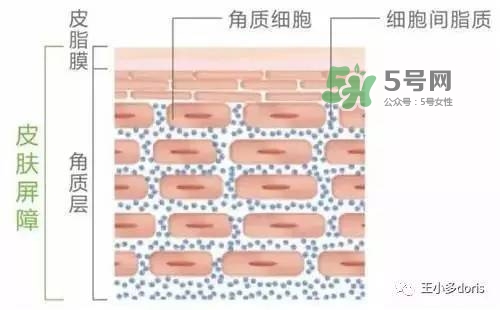 外油內(nèi)干的皮膚怎么護(hù)理 先補水還是先控油
