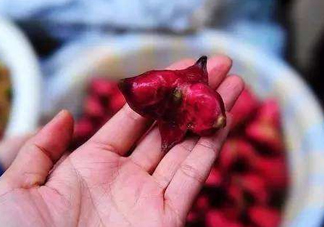 紅菱怎么吃？吃紅菱有什么好處？